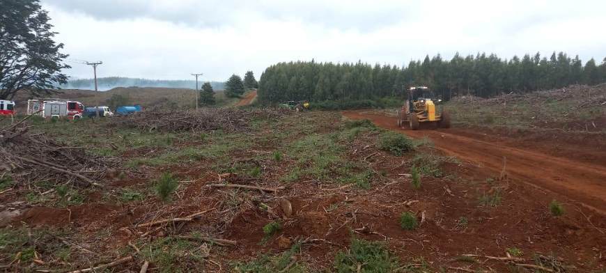 MOP inicia limpieza de camino Los Guindos, para retirar desechos de reciente incendio forestal   