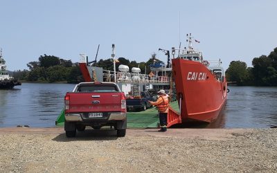 Máximo histórico de 50.419 vehículos transportó barcaza Cai Cai entre Las Mulatas y Torobayo durante meses de verano