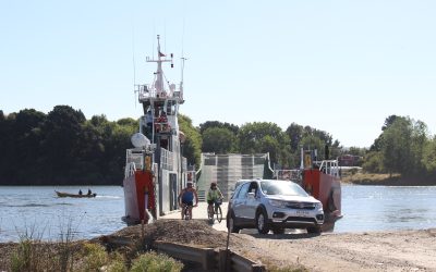 Más de 16.700 vehículos han utilizado el servicio gratuito de barcaza Trauco, que une sectores de Las Mulatas y Torobayo, en Valdivia