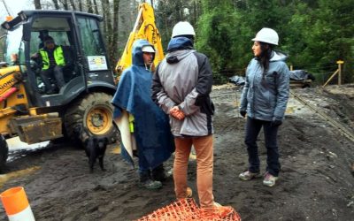 MOP destaca obras viales y reposición de puentes en mejoramiento de Ruta Coñaripe-Pellaifa en Panguipulli