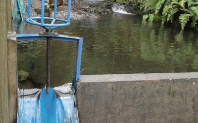 Más de 10 mil millones recaudará el FISCO en Los Ríos por el no uso de derechos de aprovechamiento de aguas
