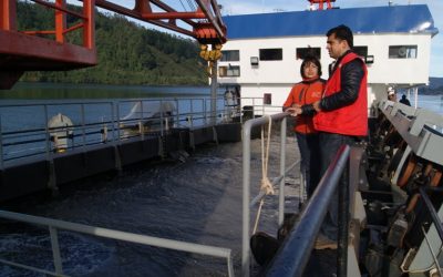 Dragado de las vías fluviales de Valdivia ya ha retirado 64 mil metros cúbicos de sedimentos