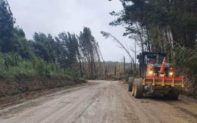 MOP despejó caída de árboles e inundaciones menores en rutas regionales por acción de sistema frontal