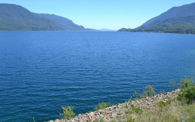 Acuerdo Voluntario para la Gestión del sistema lacustre de la cuenca del río Valdivia entra en fase final