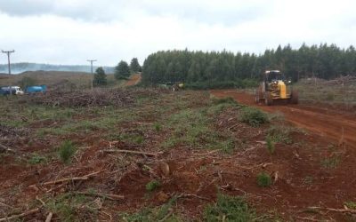 MOP inicia limpieza de camino Los Guindos, para retirar desechos de reciente incendio forestal