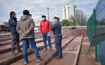 Reemplazarán rejas en Costanera de Valdivia para impedir acceso de lobos marinos al paseo