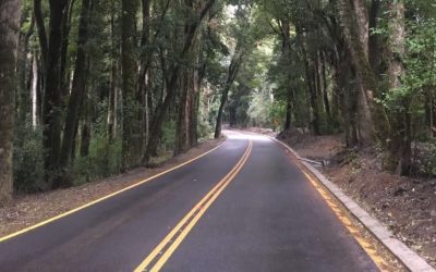 Con asfaltado del tramo del Bosque Quillín terminó mejoramiento de Ruta Puerto Nuevo-Quillaico