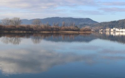 MOP y Consorcio Valdivia Sustentable trabajan diseño para recuperar histórica playa y borde fluvial de Las Ánimas