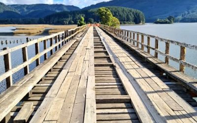 MOP terminó reparación de puente Naguilán y se recupera conectividad vial entre Valdivia y Corral