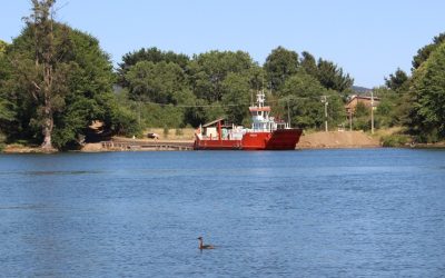 MOP lidera estudio para nueva conexión vial desde el sur de Valdivia hacia la zona costera