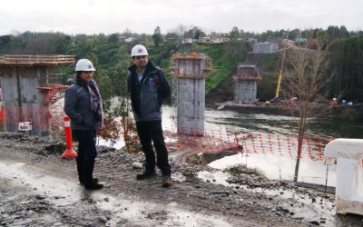 Estribos y cepas del nuevo puente Río Bueno presentan importantes avances