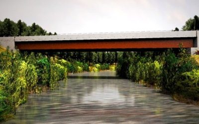 MOP adjudica proyecto para reposición del puente Collilelfu de Reumén, que conecta con la Ruta 5 Sur y Futrono