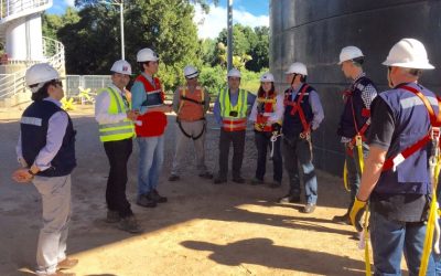 Representantes de empresas que realizarán solución de ingeniería al Puente Cau Cau visitaron las obras