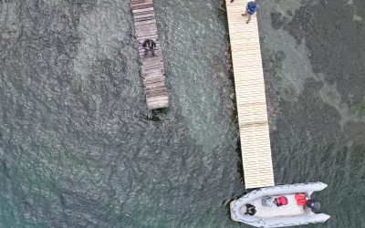 Dirección de Aguas de MOP Los Ríos avanza en fiscalizaciones en el lago Ranco durante la época estival