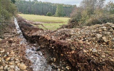 Dirección de Aguas del MOP multa a empresa en Río Bueno por obras no autorizadas que obstruyen normal escurrimiento de agua