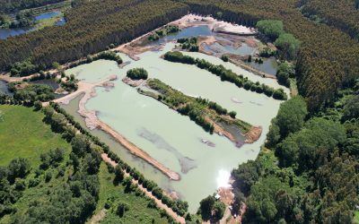 Dirección de Aguas del MOP multa a empresas de áridos por extracciones no autorizadas de aguas en Máfil y Mariquina